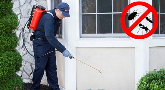 Çiçekdağı Karınca İlaçlama böcek ilaçlama ve haşere kontrolü — ilaclama-tr.com